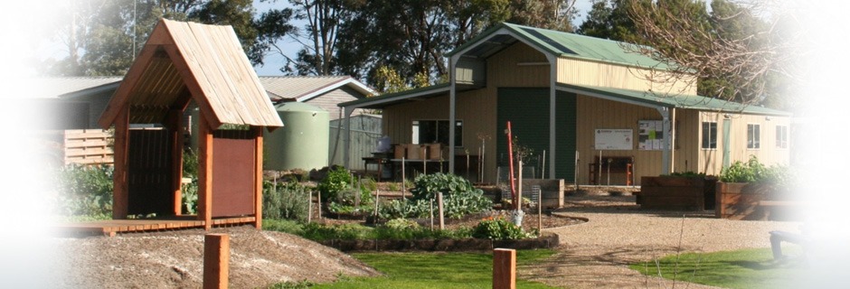 Outdoor shot of the men's shed